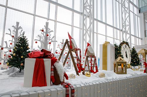 Новогодний ТЦ  ЦДМ