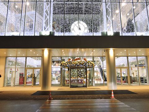 Новогодний ТЦ  ЦДМ