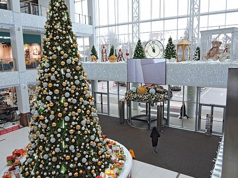 Новогодний ТЦ  ЦДМ