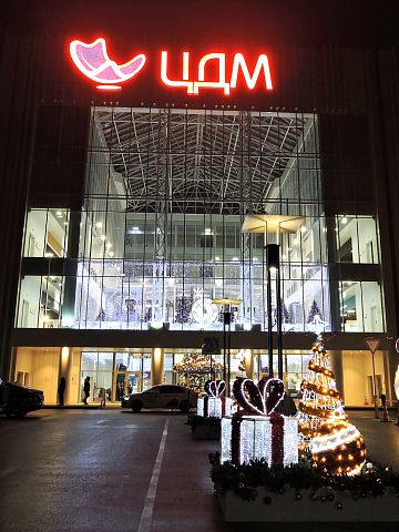 Новогодний ТЦ  ЦДМ