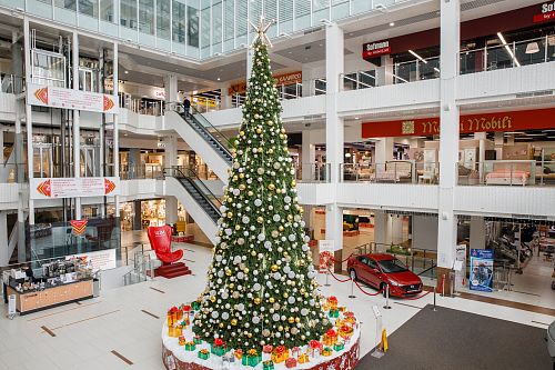 Новогодний ТЦ  ЦДМ