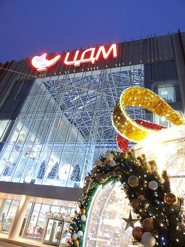 Новогодний ТЦ  ЦДМ